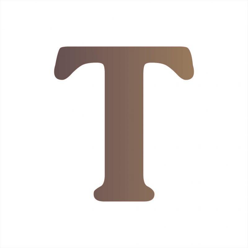 Raidė T 100x2mm