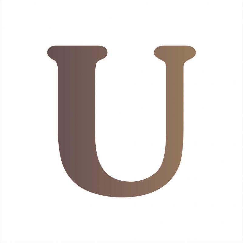 Raidė U 100x2mm