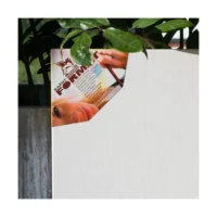 Drobė ant porėmio 50x70cm