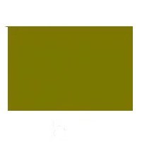 Šilko dažai Dupont Arasilk 50ml 646 army green