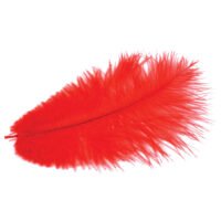 Plunksnos stručio - raudona sp. H-20cm (2vnt)